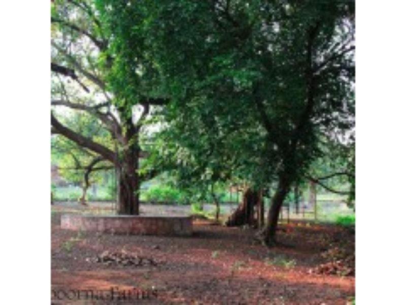 Annapoorna Farms Villa 6Bhk Khopoli Exterior photo
